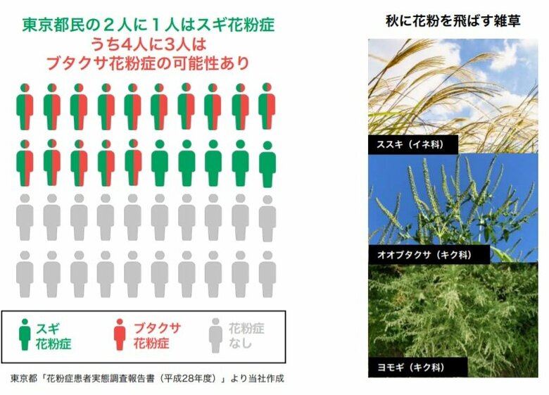 スギ花粉症のうち4人に3人がブタクサ花粉症の可能性（出典：ニューノーマル“秋花粉”対策ガイド）