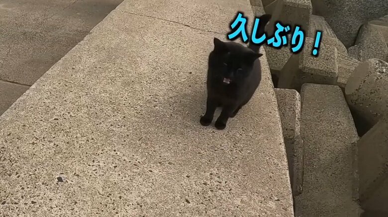 そして、さらに約1カ月後　再び黒ちゃんと再会