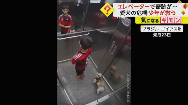 少年とイヌがエレベーターに乗っている
