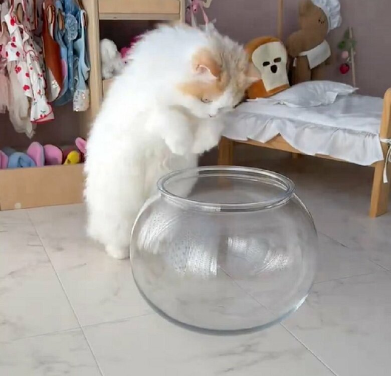 LaLaちゃんはぴょいーんと軽く跳ねる