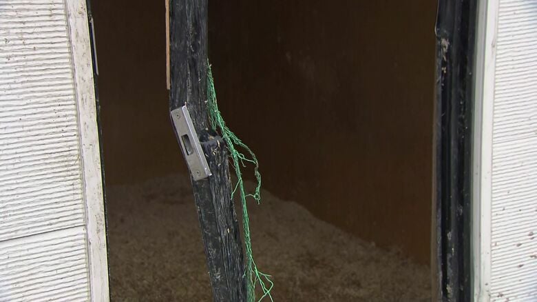 クマにより壊された養鶏場のドア