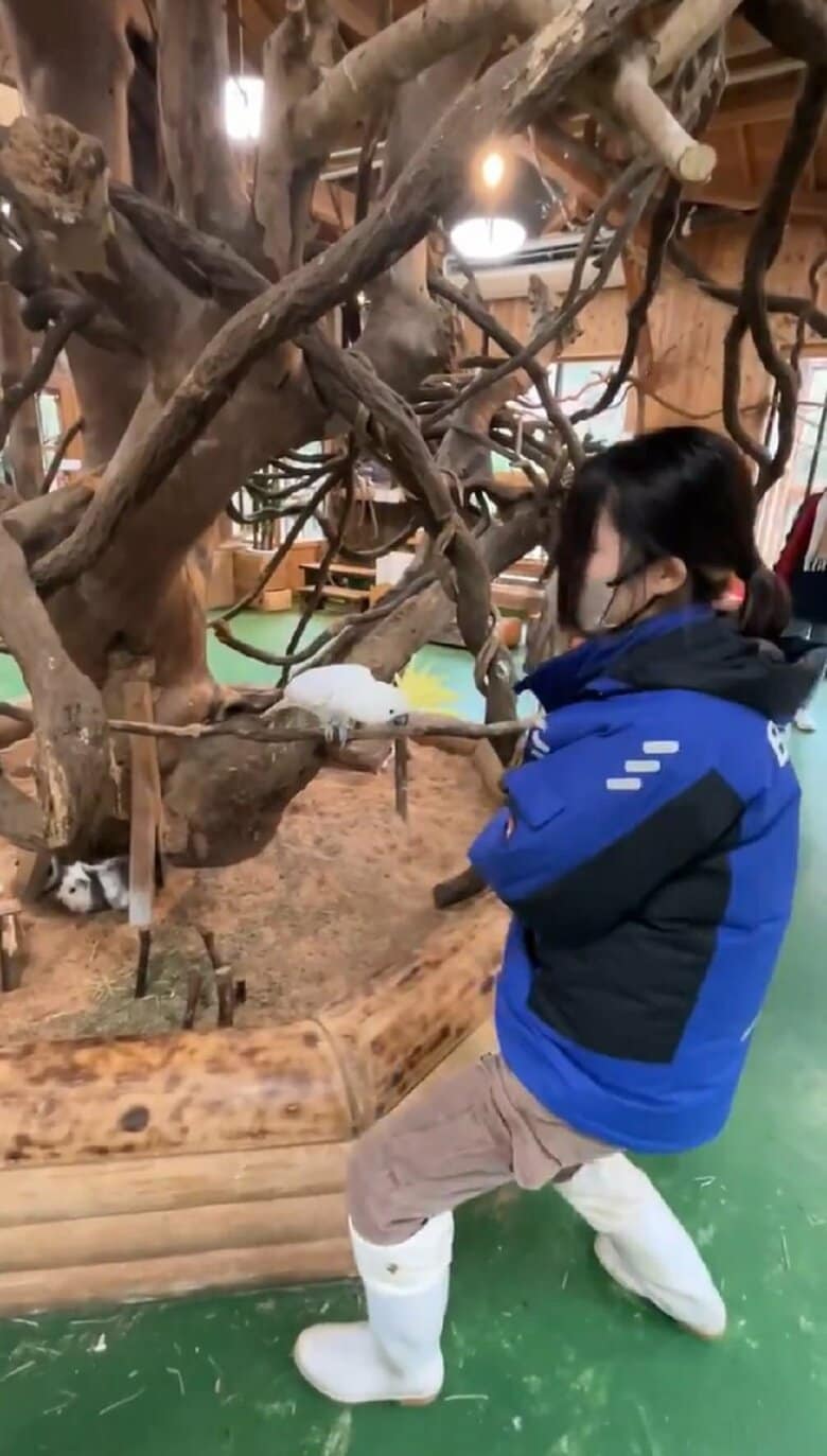息の合った動きはまるでダンスをしているかのよう（提供：長崎バイオパーク）