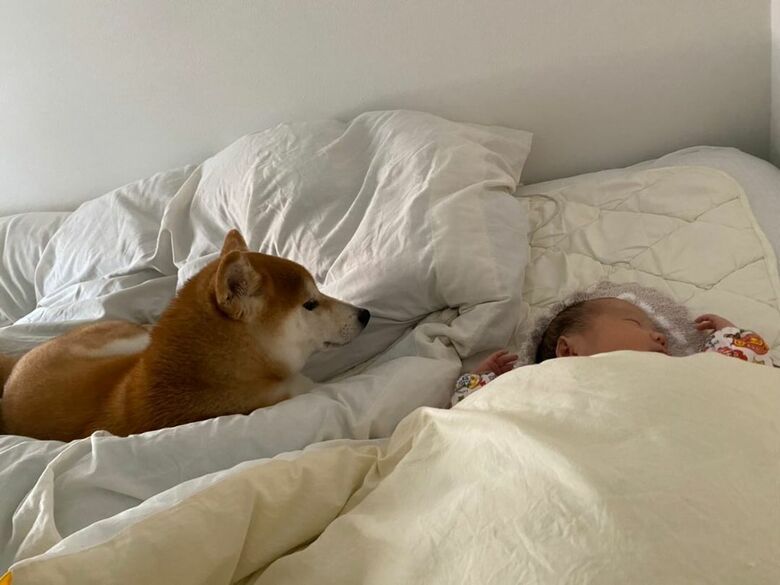 提供：torakichi602さん