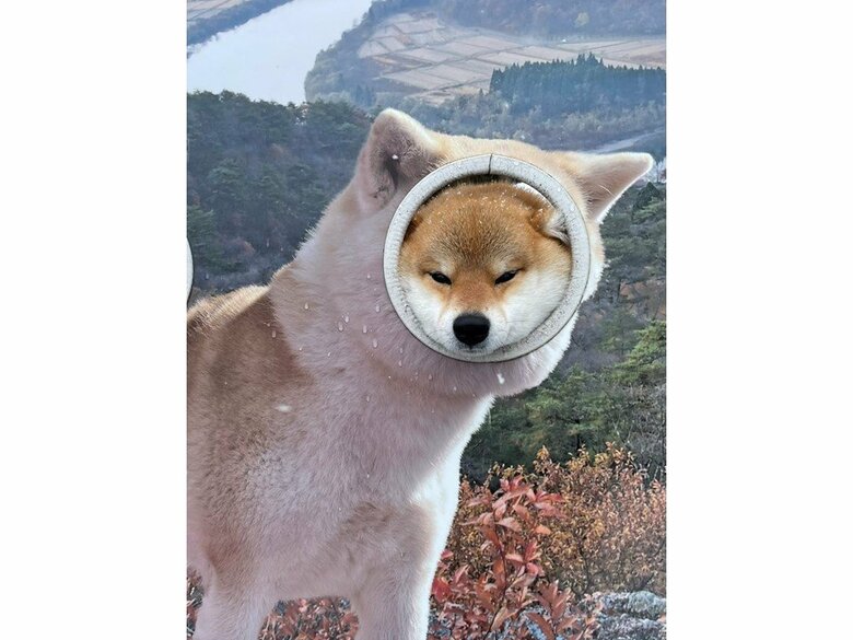 顔出しマヤちゃん