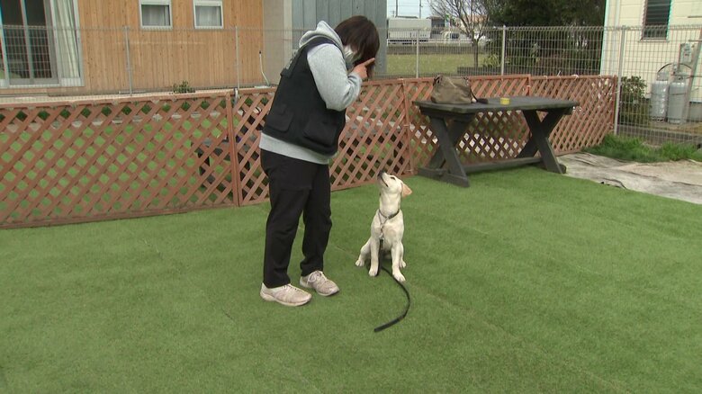 赤崎さんと輪ちゃん