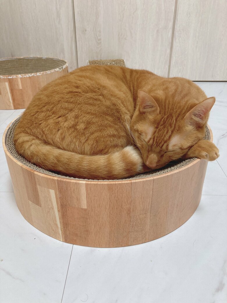 提供：たぬき&とらさん