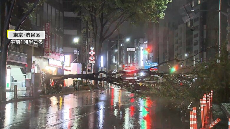 東京・渋谷区の宮益坂で倒木