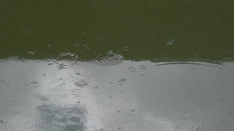 待望の雨も3分でやんでしまう