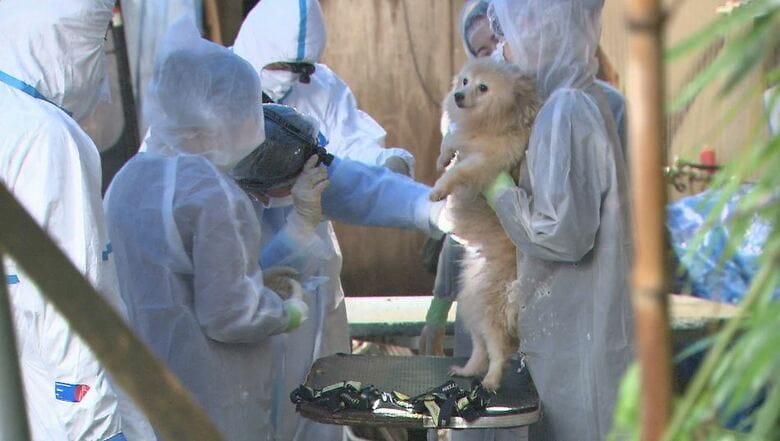 松本市の販売業者による虐待事件（2021年9月の家宅捜索）