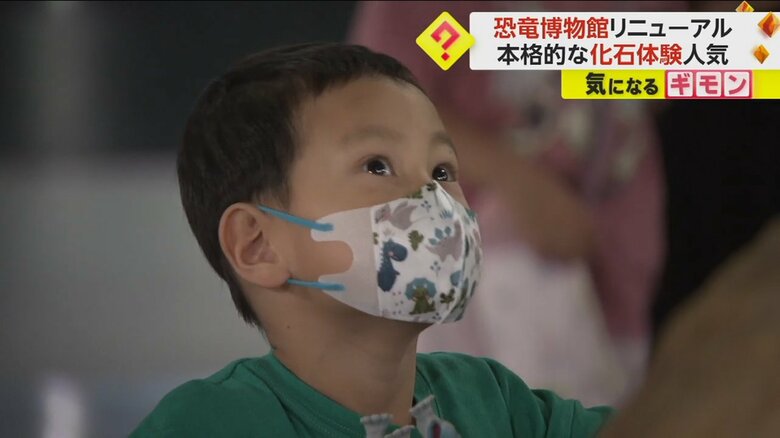 恐竜を見つめる子ども