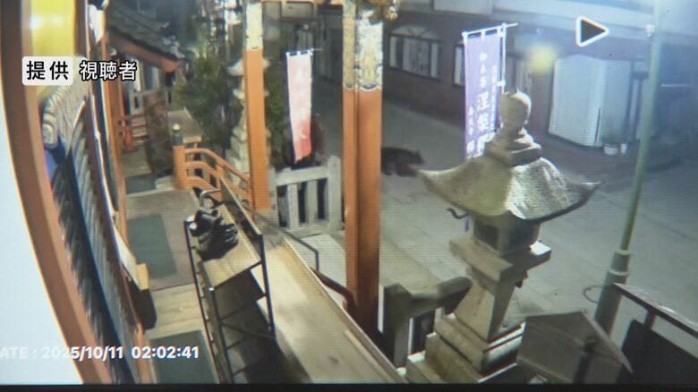 善光寺周辺の防犯カメラに映ったクマ