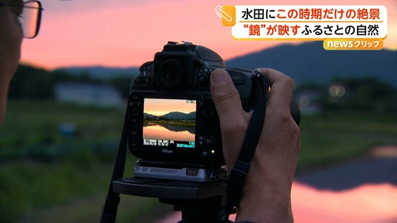 風が穏やかな日にだけ現れる光景