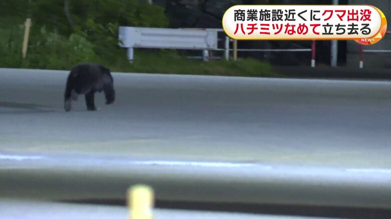 クマは川の方向へ走り去った