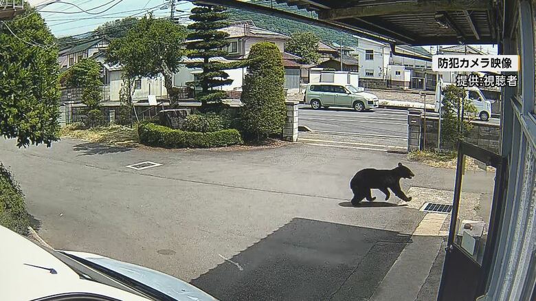 防犯カメラの映像（提供：視聴者）