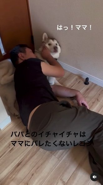 提供：キャプテン・レゴシさん