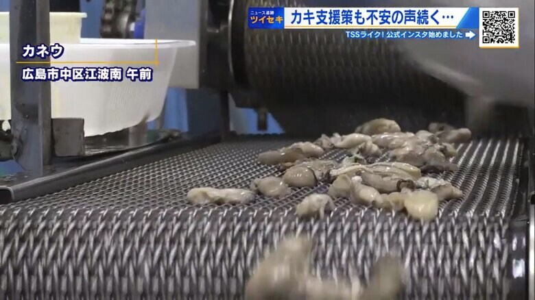 全国のスーパーに出荷する広島市の加工業者「カネウ」
