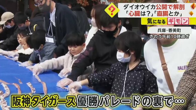 公開で行われたダイオウイカの解剖に集まった人たち