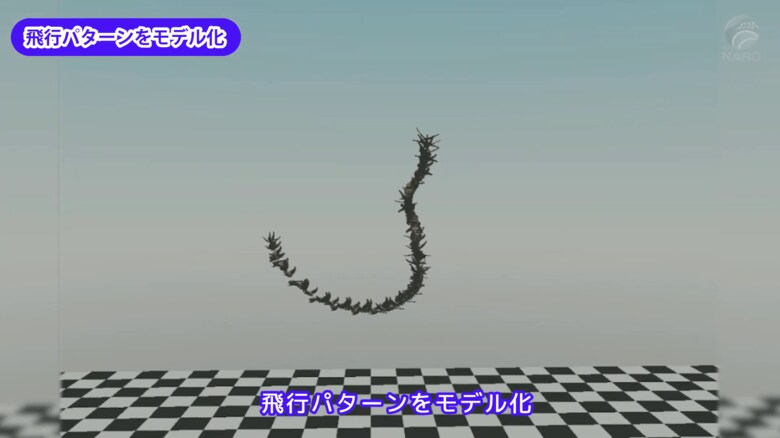 飛翔するガの画像が連なっている （出典：農研機構）