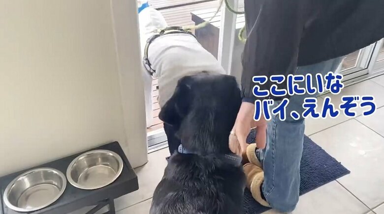 止められるえんぞうくん