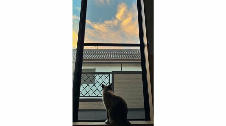 外を眺めるつむぎちゃん