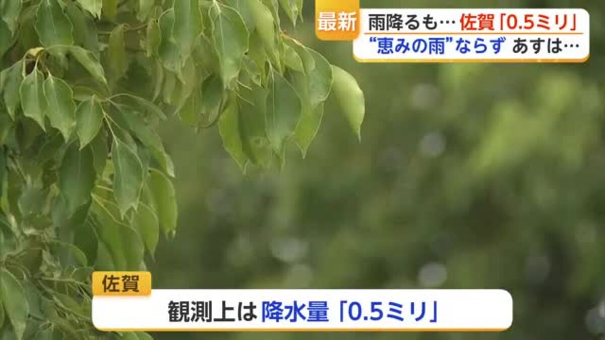 0.5 ミリ の 雨