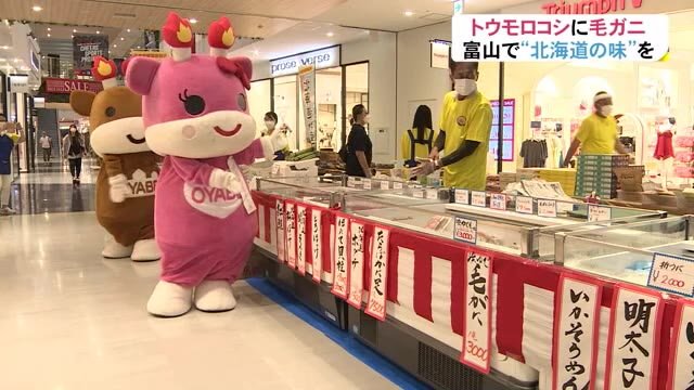 コロナ禍 少しでも旅行気分を 北海道物産フェア