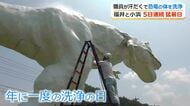 勝山の「ホワイトザウルス」がピッカピカに！　猛暑の中、1年の汚れ落としに職員が奮闘…5時間かけ真っ白に　観光客をお出迎え