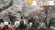 見事な「桜のトンネル」も…今まさに満開！山陰の桜名所をリレーで紹介