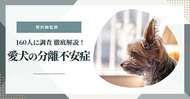【獣医師監修】愛犬の分離不安症について160人に調査!原因と対策についても徹底解説