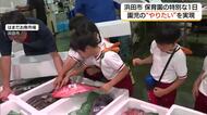 園児だけで決めた特別な1日「楽しんで帰ろう会」魚市場を見学し選んだ魚を味わう（島根・浜田市）