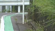 母親の交際相手に殴られ2歳男児死亡　22歳母親を暴行疑いで新たに逮捕　「イラッとして蹴った」日常的に虐待か　横浜市緑区
