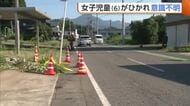 「ブレーキ踏めなかったと…」脇見で逆走か…新潟・五泉市で自転車に乗っていた小1女児が車にはねられ意識不明の重体　警察は運転手の61歳女を現行犯逮捕