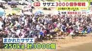 【三連休スケッチ】「今年こそは！と意気込んで」サザエ3000個の争奪戦！　みしまコロッケ誕生18年を公式ソング合唱でお祝い　350年目の神幸祭で神輿の里帰りも