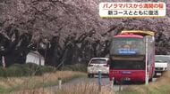 桜と同じ目線で楽しむ「桜コース」が初登場　富山に2年ぶりパノラマバス復活