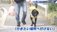 「盲導犬がいる」と言ったら7軒の店に断られ…　障がい者の2人に1人が“受け入れ拒否”を経験　法改正後も補助犬同伴への理解進まず【広島発】