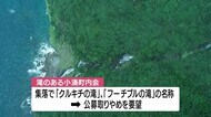 鹿児島・奄美市、九州最大級とみられる滝の名称募集を中止