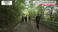 ハイキングで沖縄北部”やんばる”の森を満喫