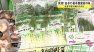 発見!岩手の若手農業者の味 県産野菜の魅力をPR<岩手・盛岡市>