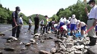 「夏」の太陽の下 児童がアユの稚魚を放流 秋田・大館市