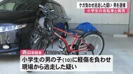 小学生の自転車と衝突 ひき逃げ容疑で男逮捕【熊本】