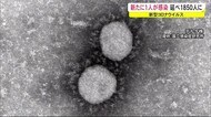 新たに1人の新型コロナウイルスへの感染を確認 秋田