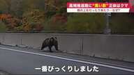 道路上の「黒い影」はクマ　クルマ動けず緊迫の現場…北海道全体で分布拡大　市街地に出没