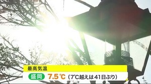 岩手・盛岡で41日ぶりに最高気温が7℃超え 県内すべての地点で3月並みの気温(1月22日)