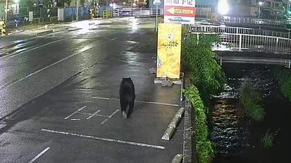 クマは複数いる可能性　9日も目撃相次ぐ　宇都宮大学は全学部で休講　小中学校では休校長期化に向けオンライン授業も　栃木・宇都宮市
