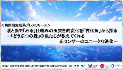 眼と脳で「みる」仕組みの玉突き的変化を「古代魚」から探る-「どうぶつの森」の魚たちが教えてくれる光センサーのユニークな進化-〔京都大学, 甲南大学, 岡山大学, 奈良女子大学〕