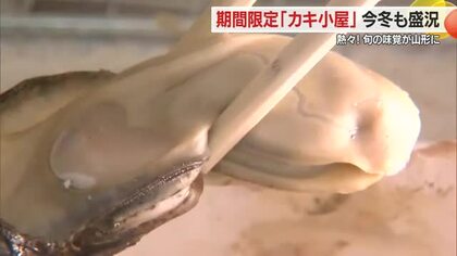 アツアツ・ぷりぷり！　宮城の旬の味覚・カキを味わう　期間限定「出張カキ小屋」11月30日まで　山形