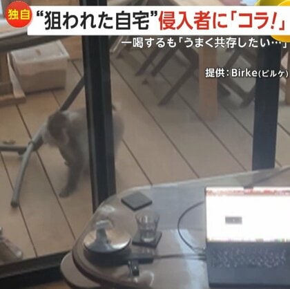 【独自】自宅に“サル”侵入で”やりたい放題”　米袋を破り食べ物探し…「うまく共存したい」が飛び跳ねて大暴れも　山梨・北杜市