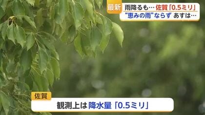 「やっと雨」でもわずか0.5ミリ…雨不足の佐賀 恵みの雨となるか【佐賀県】
