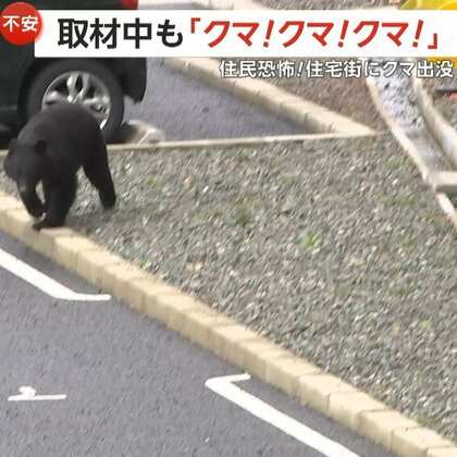 取材班の目の前に「クマ！クマ！クマ！」住宅街や線路沿いを徘徊するクマの目撃通報相次ぐ…近くに住民もいるアパート駐車場をウロウロ　岩手・盛岡市