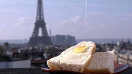“都市部での養蜂”盛んに…博物館の屋上や公園で　ミツバチが植物の受粉促し緑化にも貢献　フランス